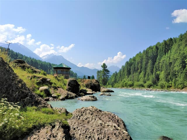 Lidder river and pine forest in Pahalgam, Kashmir
